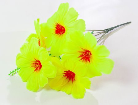 Лилия "Гиго" 5 веток