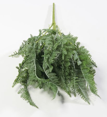 картинка Ветка даваллия 21 лист от магазина KALINA