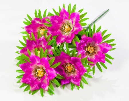 39b8ade88d10e7353319f10d38c52ca6