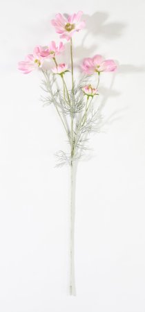 Ветка космеи светло-розовая