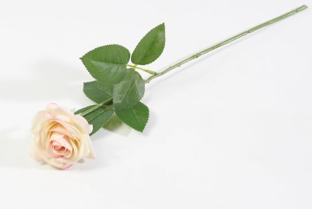 Роза с латексным покрытием открытая "Бананомания"