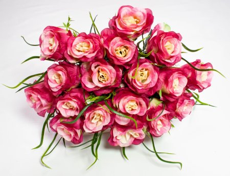 Роза Восторг 18 ветки 18 цветка