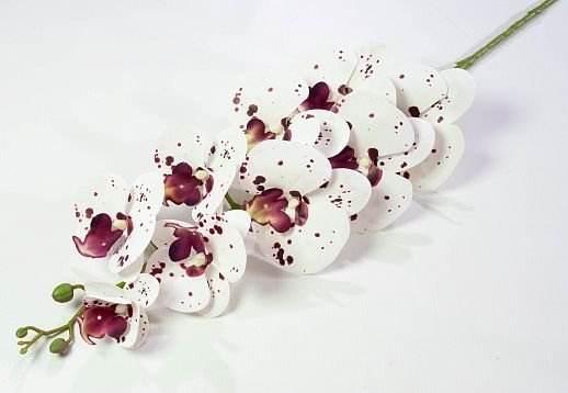Ветка орхидеи 14 от магазина KALINA являющийся официальным дистрибьютором в России 