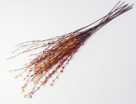 Ветка с мелкими почками