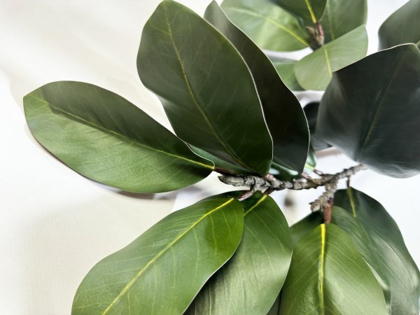 картинка Ветка магнолии "Лето" 17 листов от магазина KALINA