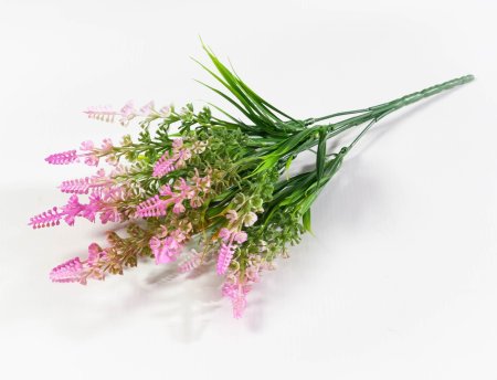 Букет разноцветного аспарагуса