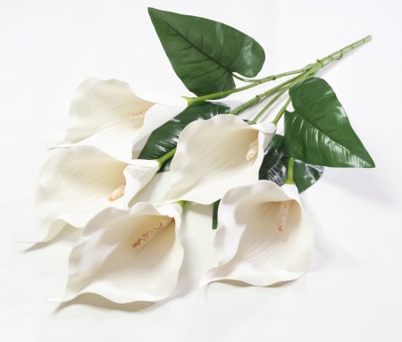 Букет калла 5 цветков