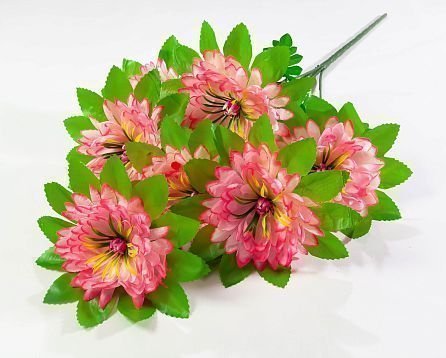 Георгин "Романс" 7 цветков от магазина KALINA являющийся официальным дистрибьютором в России 