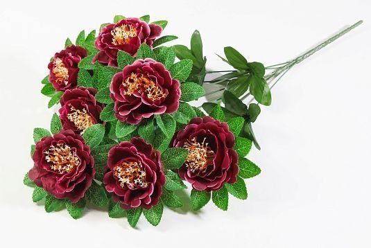 Пион "Кадриль" 7 цветков от магазина KALINA являющийся официальным дистрибьютором в России 
