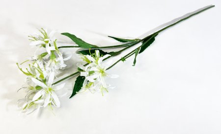 Ликорис белый