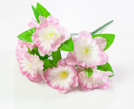 Петуния 7 веток