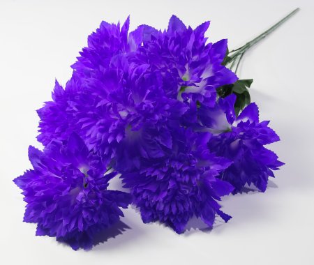 Астра "Женевьева" 7 цветков