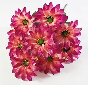 Астра "Жилка крупная" 9 цветков от магазина KALINA являющийся официальным дистрибьютором в России 