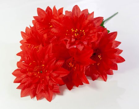 Астра "Великан" 6 веток