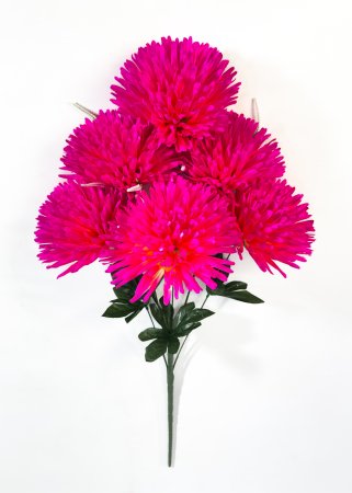 Хризантема Антей 6 цветков