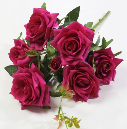 Букет роз Андриатика 6 цветков