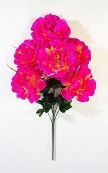 Букет пиона "Костарика" 6 цветков от магазина KALINA являющийся официальным дистрибьютором в России 