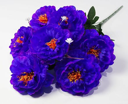 Пион "Мадам Баттерфляй" 7 цветков от магазина KALINA являющийся официальным дистрибьютором в России 