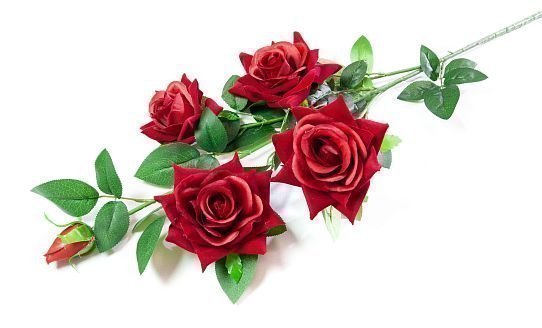 Ветка розы "Бургунди" 4 цветка от магазина KALINA являющийся официальным дистрибьютором в России 