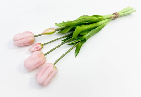 Тюльпан "Корона весны" нежно-розовый