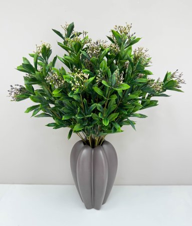 Каланхоэ фиолет