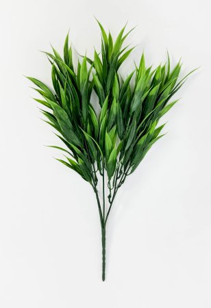 картинка Рускус 5 веток от магазина KALINA