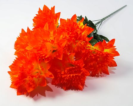 Астра "Женевьева" 7 цветков от магазина KALINA являющийся официальным дистрибьютором в России 
