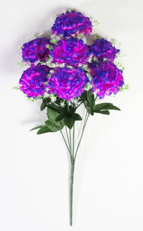 Шафран "Лиза" 7 цветков