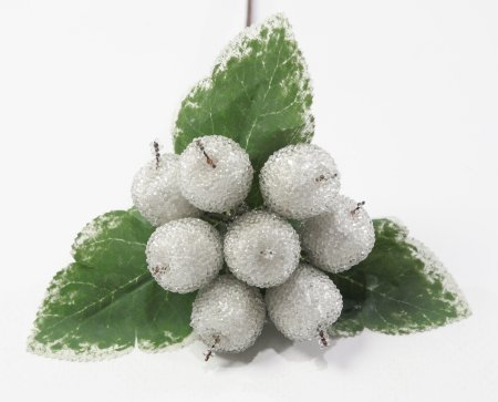 Ягода в инее крупная белая