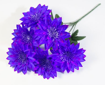 Букет астр Махровая смесь 6 цветков