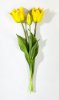 Тюльпан "Саппоро" (2+1) желтый