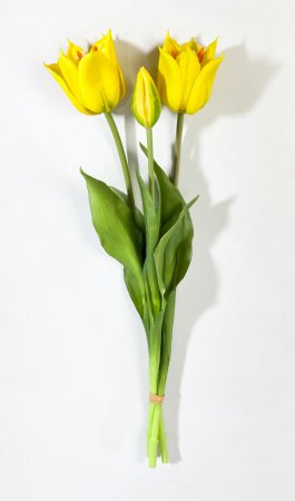 Тюльпан "Саппоро" (2+1) желтый