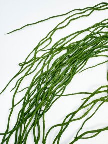 Рипсалис ампельный зеленый, искусственные цветы и декор КалинаКрас
