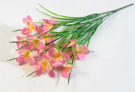 Орхидея "Ветерок малый" 14 цветков