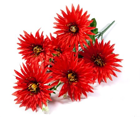 Букет астры " Краб"