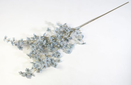 Ветка сакуры Сезон пыльно-голубой