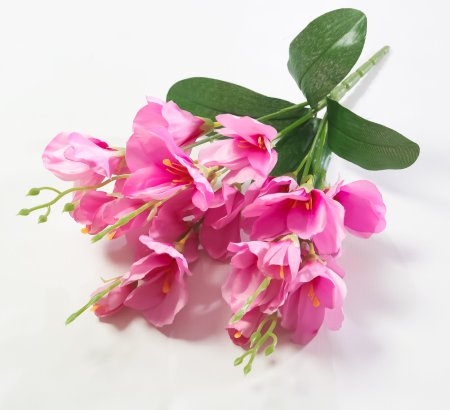 Букет гладиолуса малый 5 веток