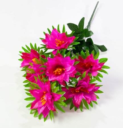 Лилия 7 цветков