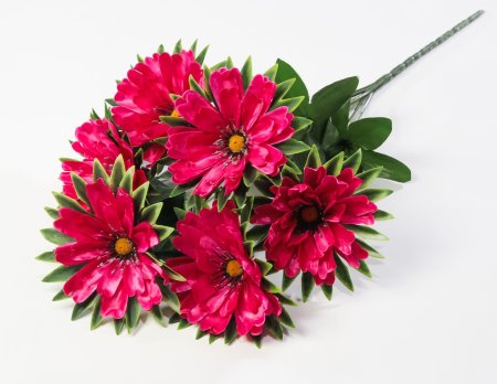 Георгин "Свирель" 6 цветков