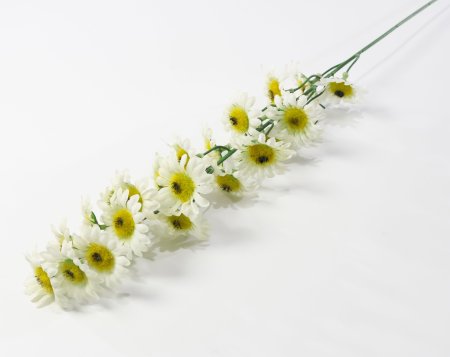 Ветка ромашек "Суприм"