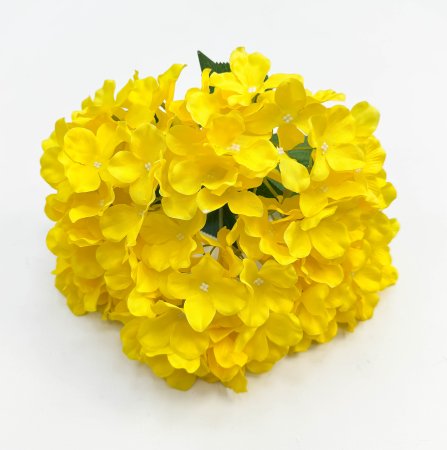 Гортензия "Солнечный блик" 5 цветков