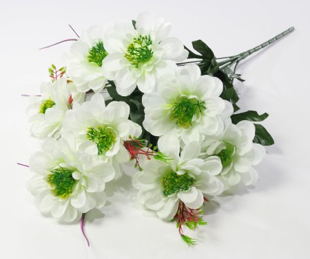 Георгин "Василиса" 9 цветков