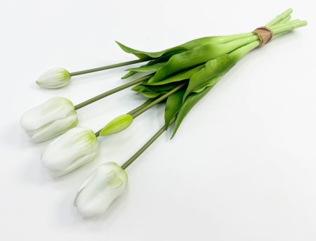 Тюльпан "Корона весны" белый 