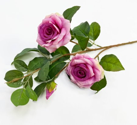 Роза "Радмира" лиловая