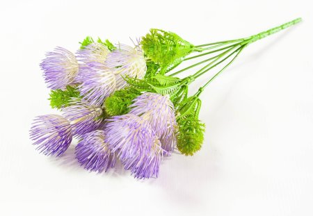 Букет гемантуса