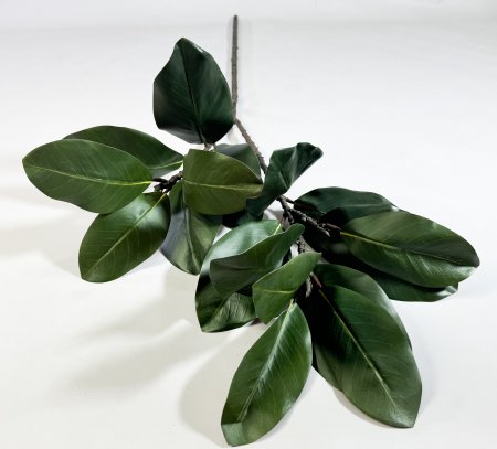 картинка Ветка магнолии "Лето" 17 листов от магазина KALINA