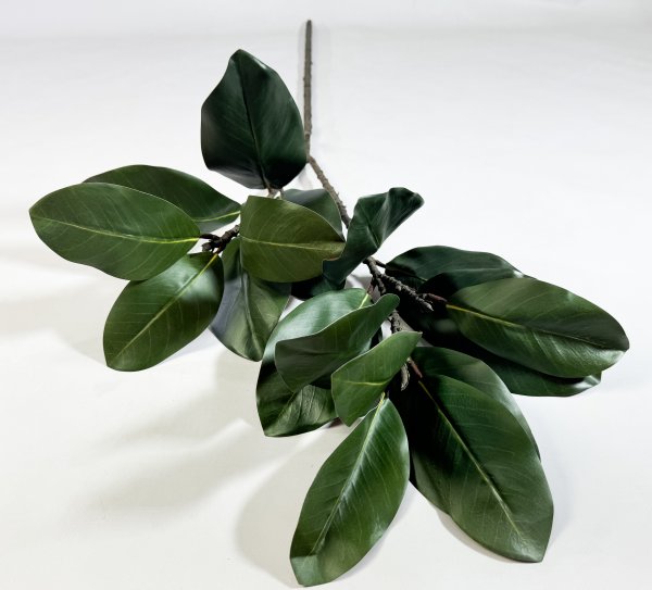 картинка Ветка магнолии "Лето" 17 листов от магазина KALINA