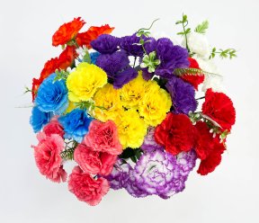 Гвоздика "Асмус" 6 цветков