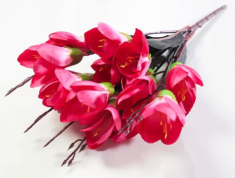 Крокус "Звездный вальс" 15 цветков от магазина KALINA являющийся официальным дистрибьютором в России 