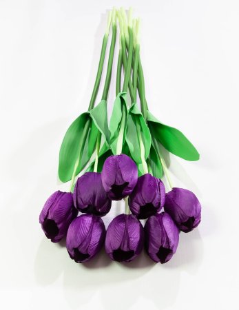 aedec014d9aa1b9a9c7bfcd546388d98